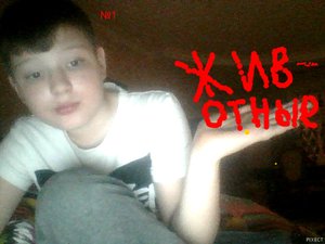 Первое видео, Мои животные