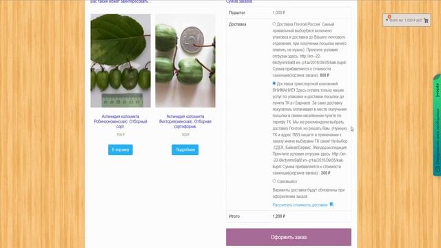 Видеоинструкция оформления заказа на сайте Экоферма22.рф