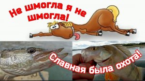 Якутск. Не шмогла я не шмогла! Славная была охота!