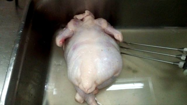 Как накачивают кур гелем и другой химией, ядовитой для человека смотреть онлайн