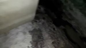 Запуск Киа Рио в -20 На моторном масла хендай 5-20. ЗАПАРАФИНЕЛОСЬ!!!