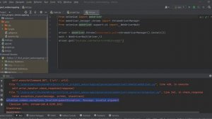 How to Fix selenium.common.exceptions.InvalidArgumentException: Message: invalid argument