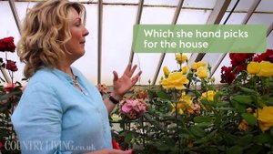 A private tour of Highclere Castle's Rose Garden