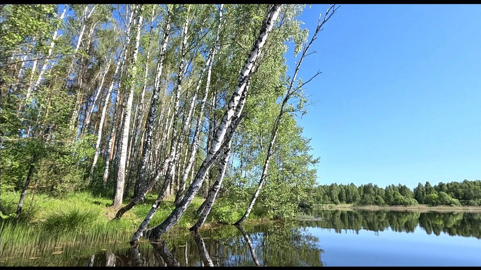 Прекрасное место Казаринка. Возле Ельни.