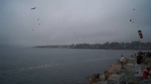 Федор Конюхов у побережья Чили