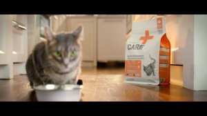 Nutrience, Proudly Crafted in Canada for Dogs and Cats