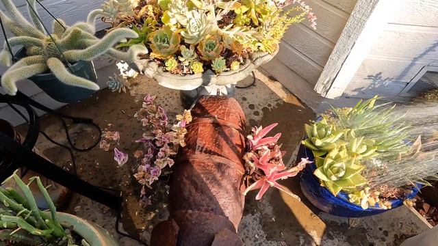 Let's Water the Plants! смотреть онлайн