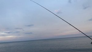 Рыбалка на черном море