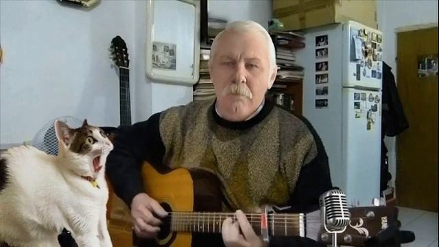 морда моя