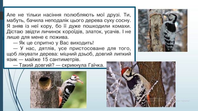 Літературне читання. 3 клас. Урок №3