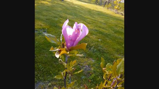 Приятна музика за  слушане смотреть онлайн