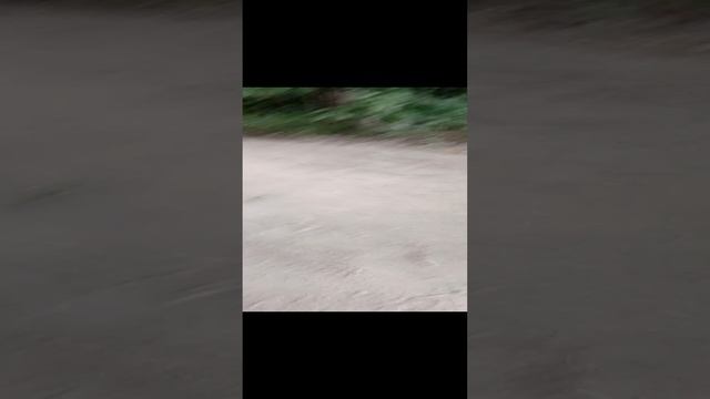 заброшенные машины часть 2