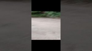 заброшенные машины часть 2