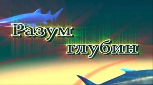 Разум глубин.mp4