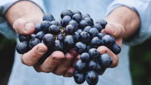 Несколько причин съесть виноград. Цвет имеет значение? смотреть онлайн