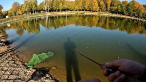 Ловля форели на платном водоеме! I Парус Север I