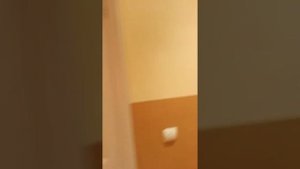 Сдам квартиру 100метров от пляжа. Севастополь. Снять жилье в Севастополе