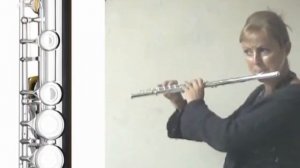 FLUTE_DEMO.wmv