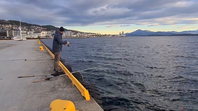 КТО ЭТО ТАК ТАЩИТ СПИННИГ?! Трофейная рыбалка! Рыбалка в Норвегии с берега. Норвегия. Рыбалка. смотреть онлайн