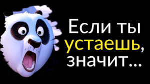 Мудрые Цитаты из Мультфильмов