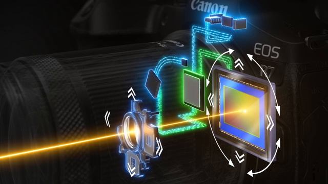 EOS R7 and the EOS R10 - small but powerful - quick look смотреть онлайн
