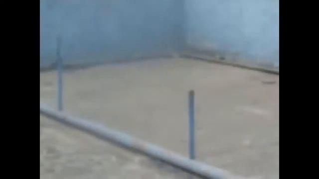 Как живут пьяные люди (моё видео ) смотреть онлайн