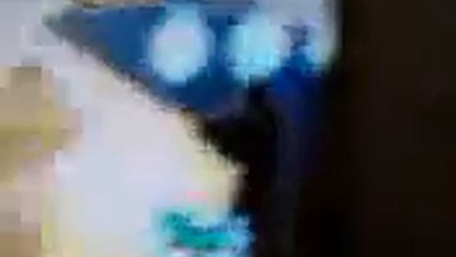 photo dojo gameplay смотреть онлайн