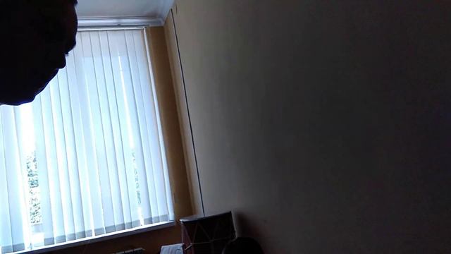 Балалайка. Урок с малышами