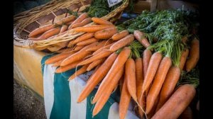 Обзор сорта моркови "Балтимор" (характеристики, свойства, фото)