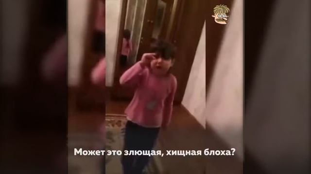 Маленькая девочка читает стих про ЖКХ смотреть онлайн