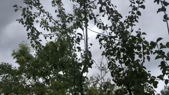 Рыбалка на Кубани. #рыбалка , #рыбалканакубани