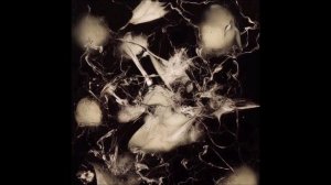 Gamma Intel - Panthera Leo