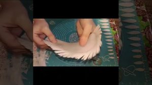 Qanadların hazırlanması. Крылья из вафельной бумаги @GRESS