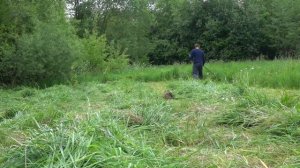 Ручной сенокос. Заготовка сена для овец.