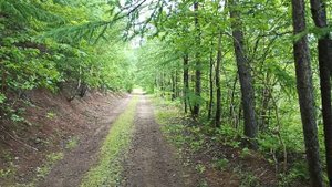 Озеро Верхнее, с. Чехов.mp4