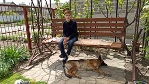 Течка у собак: длительность, уход за собакой, проявления, первая течка.