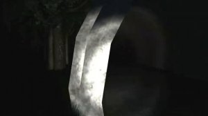 Играю в Slender. Сдерживаю эмоции))).