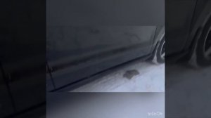 Фольксваген поло 1.6 акпп 2013 год 565000₽