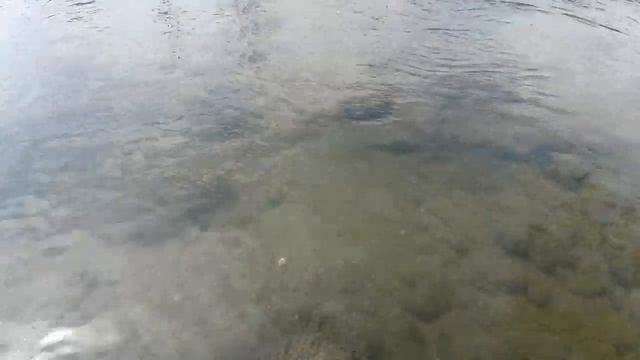 Рыбалка на реке Сочи. Мелкий подуст смотреть онлайн