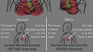 Как закончится Дом Совы? / Дом Совы 3 Сезон