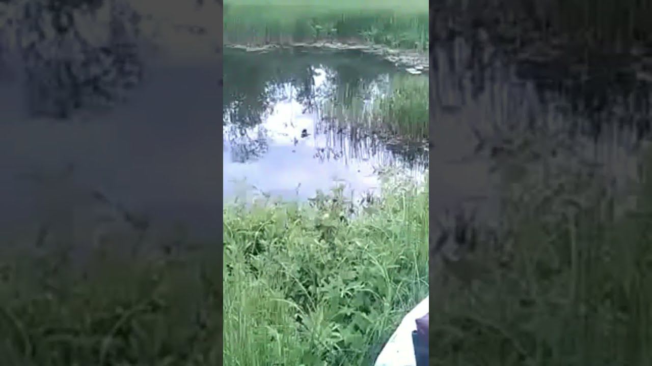 Выезжай, воняет н@..й смотреть онлайн