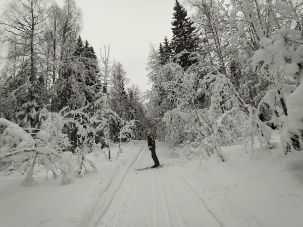 Лучшие воспоминания о лыжных прогулках 2022 года!