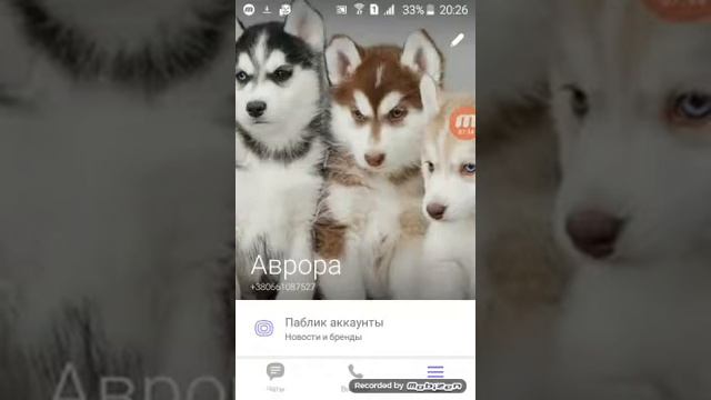 Переписки в вайбер смотреть онлайн