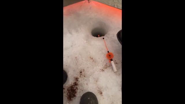 Рыбалка на Яузском водохранилище 11 марта 2022 года. смотреть онлайн