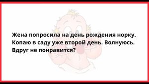 Сборка Смешных и Забавных Анекдотов. Анекдоты для Вас.