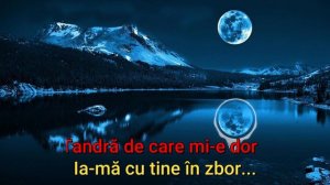 Catalina Caraus & Eugen Doga - Dulcea Si Tandra Mea Fiara (Karaoke)