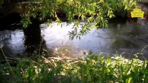 ?Очень красивая славянская песня Ветер Воды