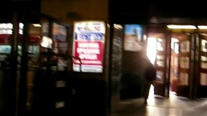 Метро  ЧЕРНЫШЕВСКАЯ СПб-2015