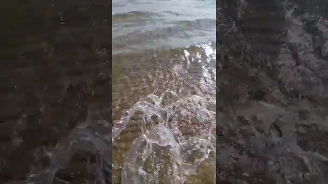 Сибирь летом смотреть онлайн