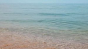 Пресная вода для Крыма: в Азовском море пробурят скважины